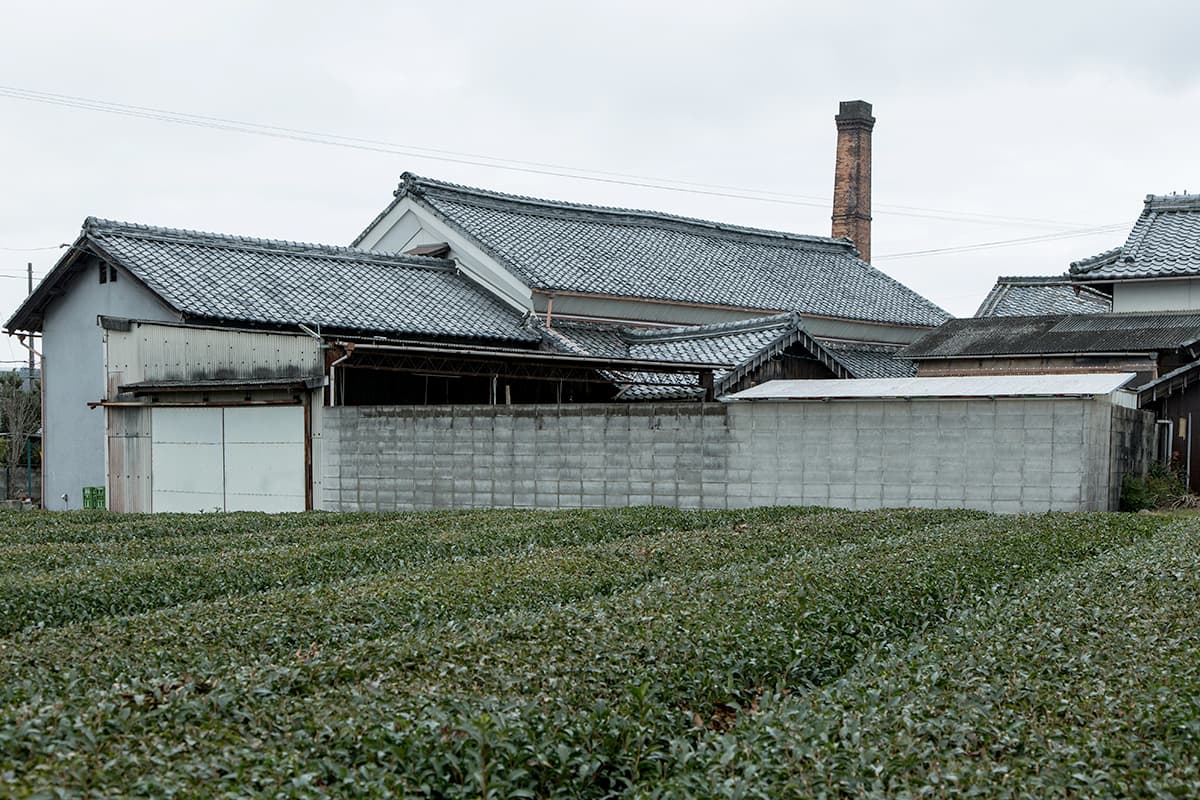 Hatsuzakura [Yasui Sake Brewery]