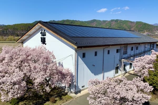 黒松仙醸【株式会社仙醸】