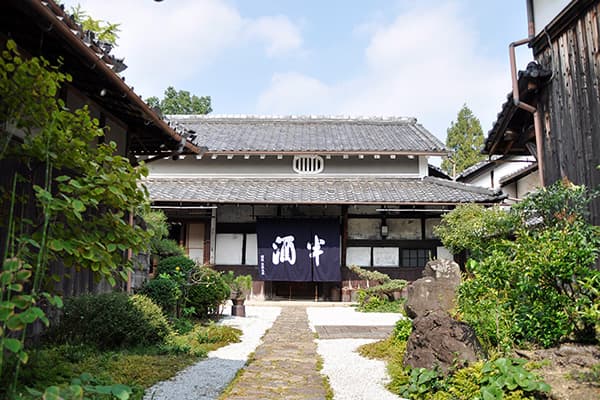 利休梅【大門酒造】