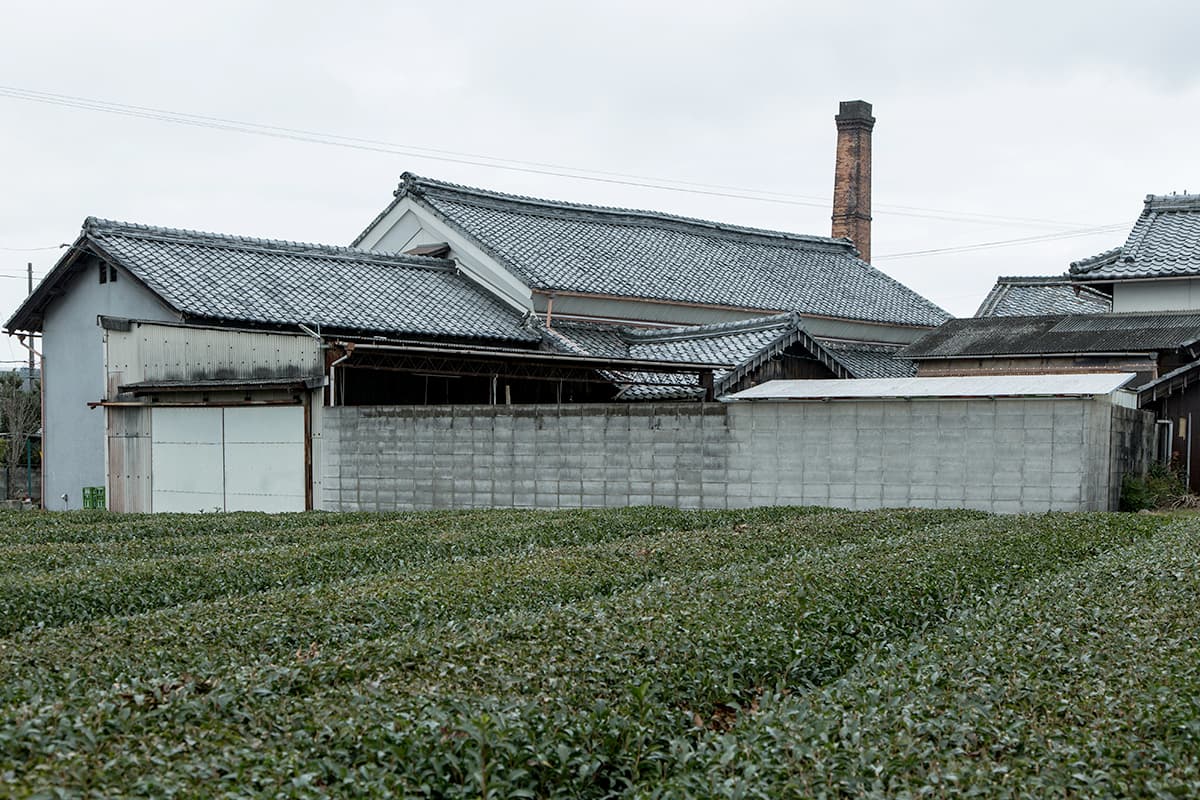 初桜【安井酒造場】